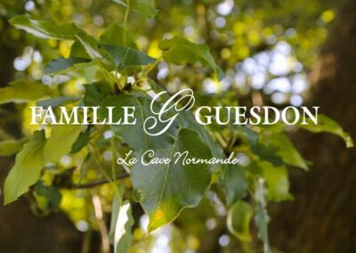 Site Vitrine Famille Guesdon