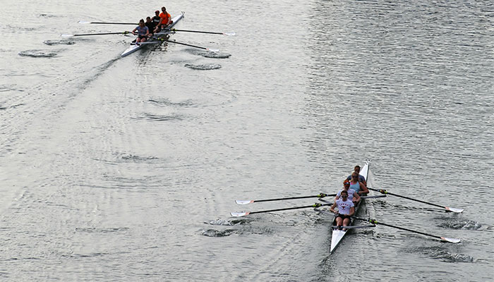 rédaction articles seo